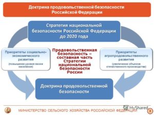 Продовольственной безопасности России угрожает «нездоровый» финансовый климат